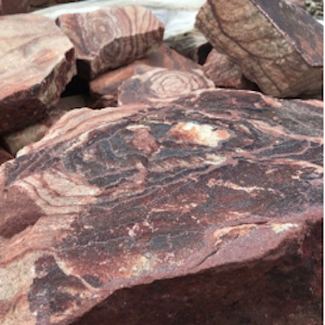 Бутовый тигровый розовый